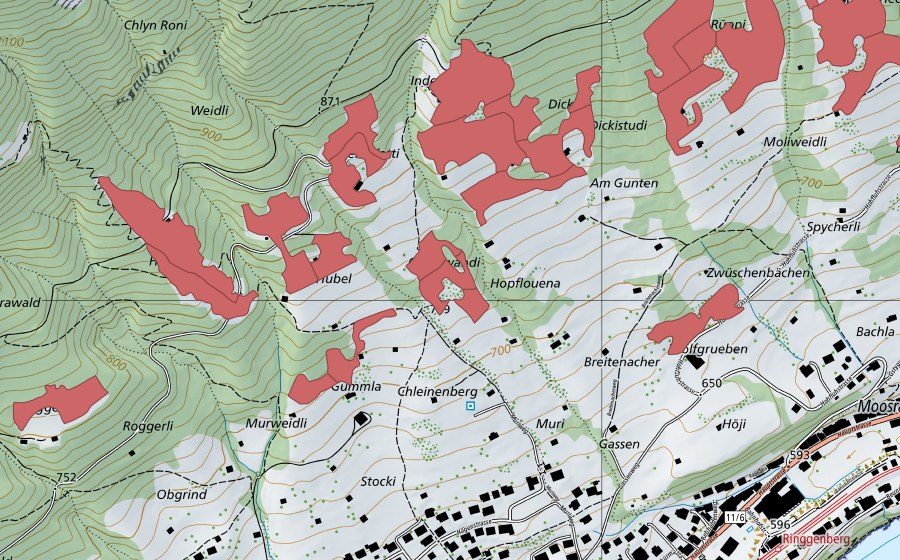 swisstopo national map showing the protected perimeter of Rüppi (Dry meadow)