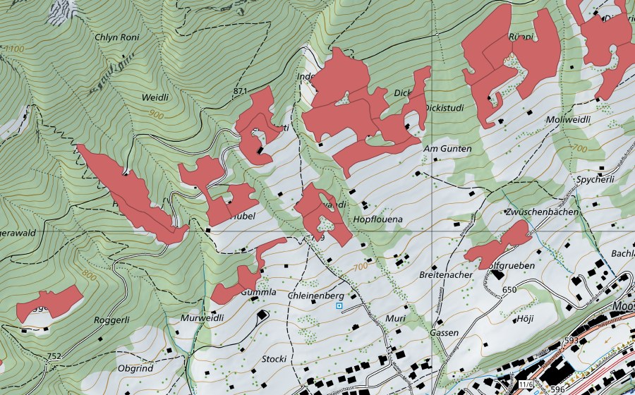 swisstopo national map showing the protected perimeter of Rüppi (Dry meadow)
