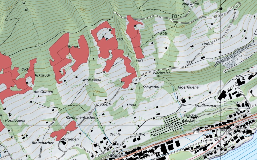 swisstopo national map showing the protected perimeter of Rüppi (Dry meadow)