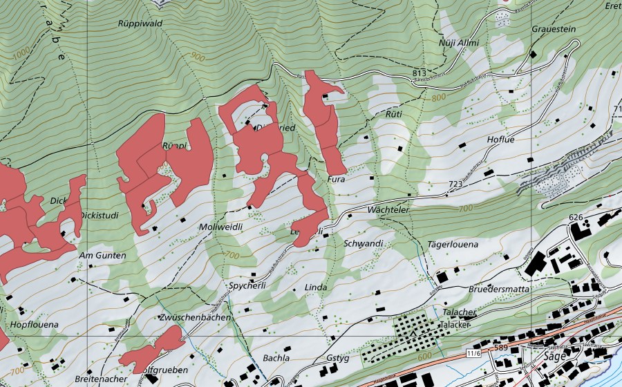 swisstopo national map showing the protected perimeter of Rüppi (Dry meadow)
