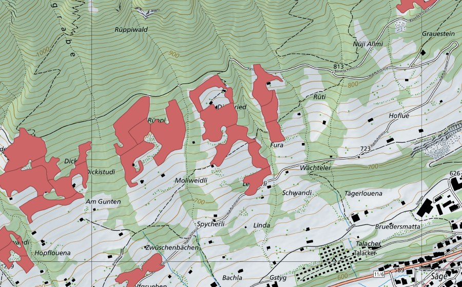 swisstopo national map showing the protected perimeter of Rüppi (Dry meadow)
