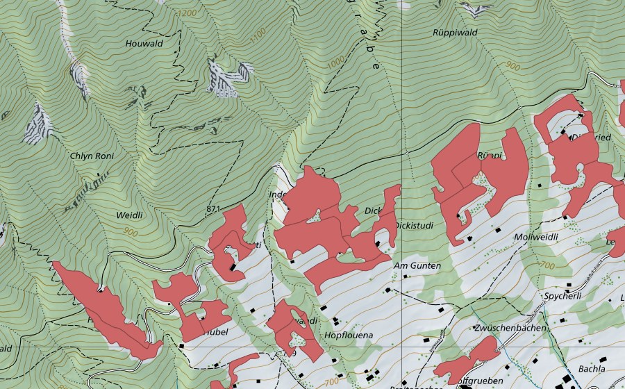 Carte nationale swisstopo avec le périmètre protégé de Rüppi (Prairie sèche)