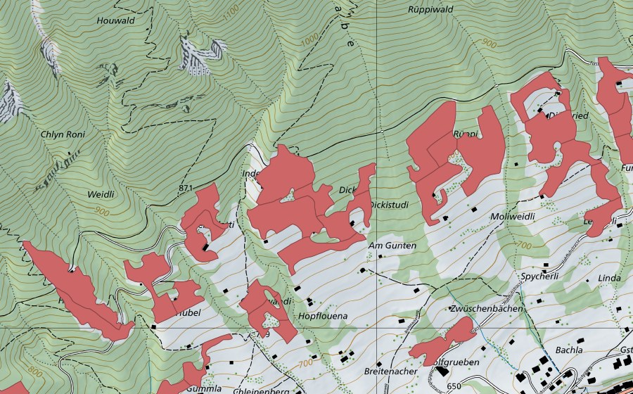 Landeskarte swisstopo mit dem Schutzperimeter von Rüppi (Trockenwiese)