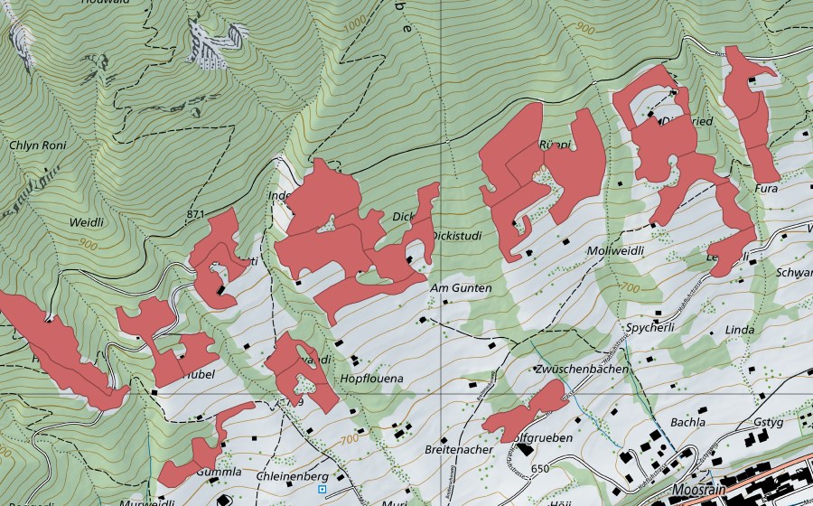 Landeskarte swisstopo mit dem Schutzperimeter von Rüppi (Trockenwiese)