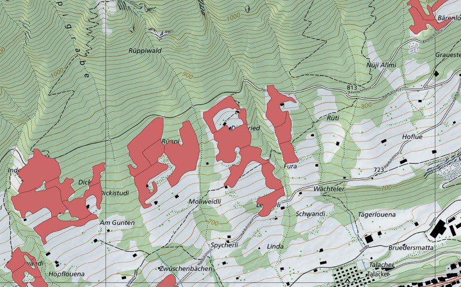 Landeskarte swisstopo mit dem Schutzperimeter von Rüppi (Trockenwiese)