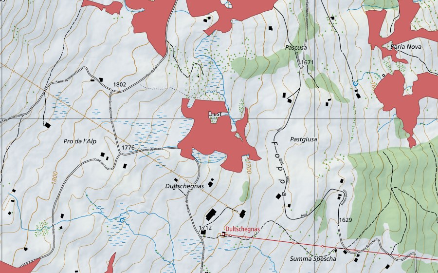 Landeskarte swisstopo mit dem Schutzperimeter von Rüs (Trockenwiese)