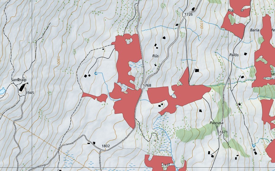 Carte nationale swisstopo avec le périmètre protégé de Rüs (Prairie sèche)