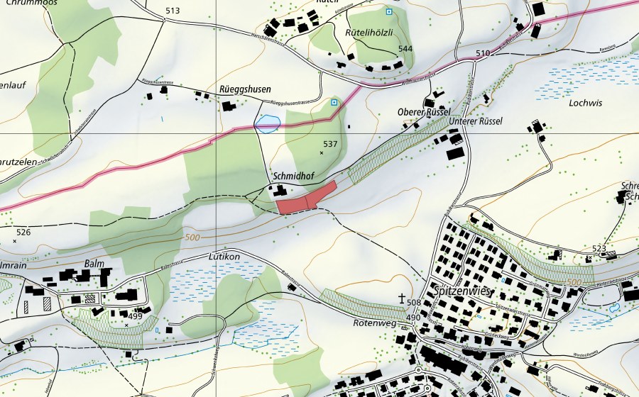 Landeskarte swisstopo mit dem Schutzperimeter von Rüssel (Trockenwiese)