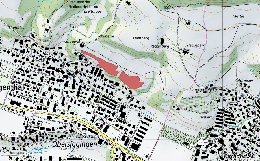 swisstopo national map showing the protected perimeter of Rüteli (Dry meadow)
