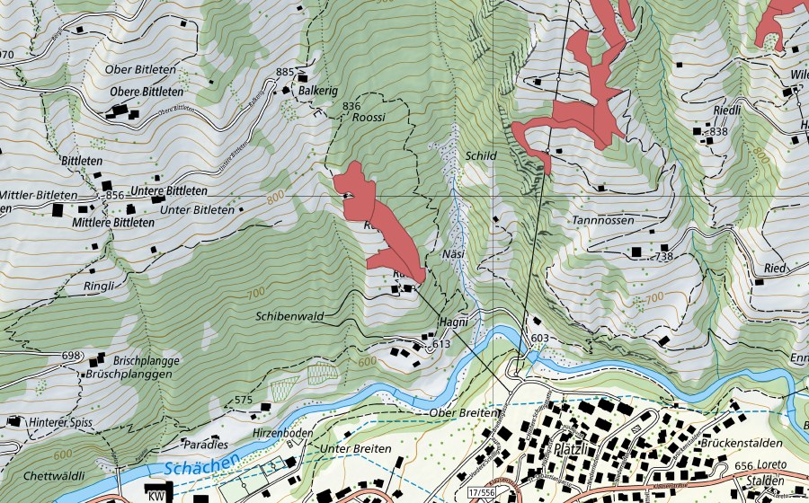 swisstopo national map showing the protected perimeter of Rüteli (Dry meadow)