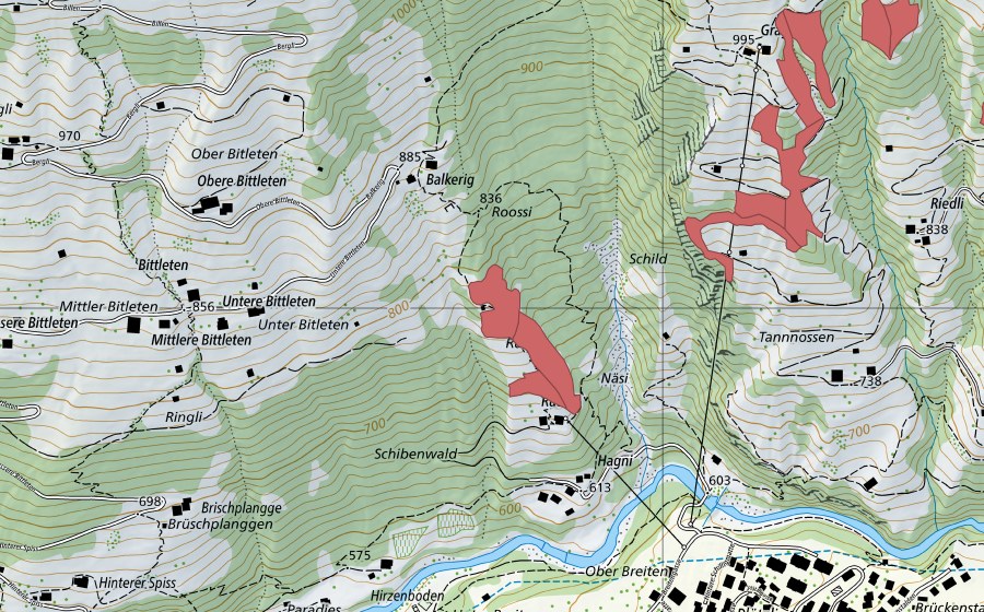 swisstopo national map showing the protected perimeter of Rüteli (Dry meadow)