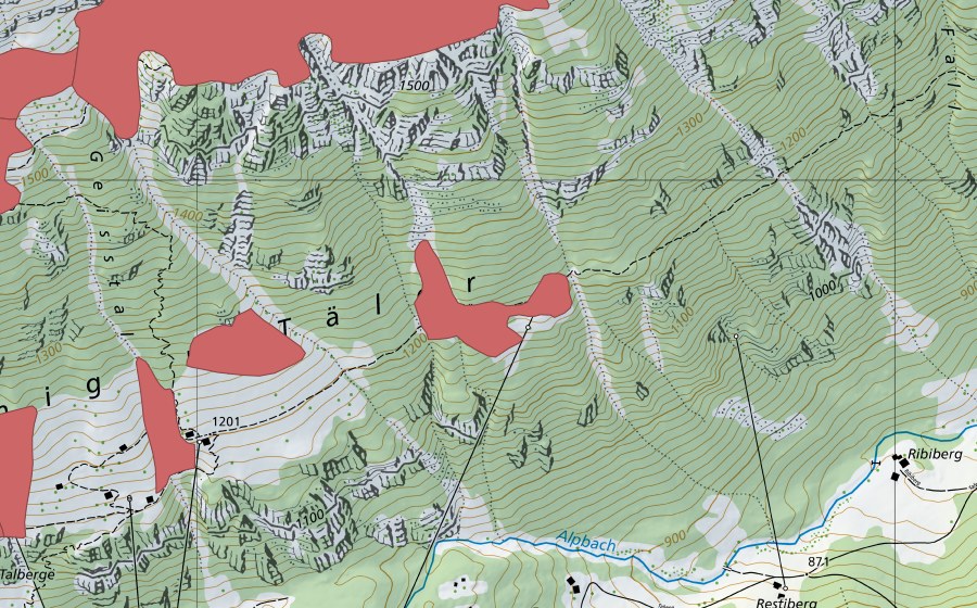 swisstopo national map showing the protected perimeter of Rüteli (Dry meadow)
