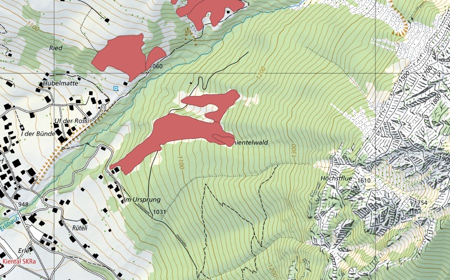 Carte nationale swisstopo avec le périmètre protégé de Rüteli (Prairie sèche)