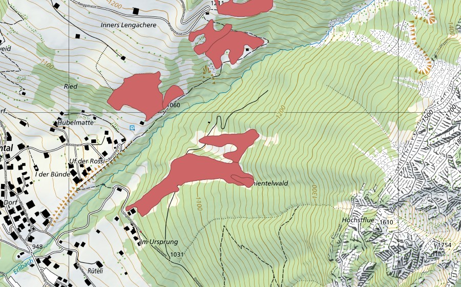 swisstopo national map showing the protected perimeter of Rüteli (Dry meadow)
