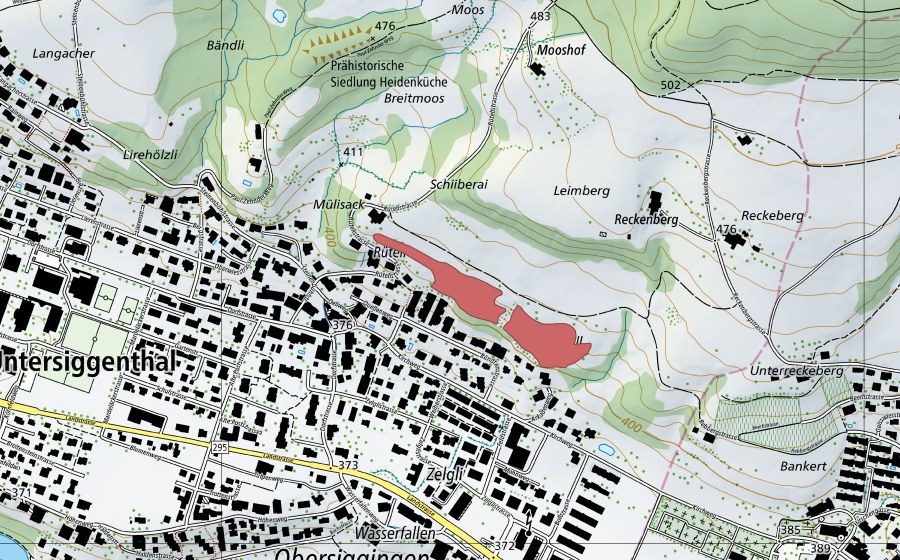 Carte nationale swisstopo avec le périmètre protégé de Rüteli (Prairie sèche)