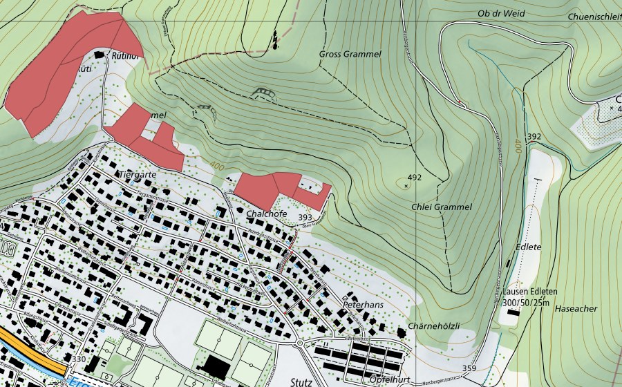 swisstopo national map showing the protected perimeter of Rüti (Dry meadow)