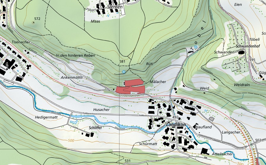 swisstopo national map showing the protected perimeter of Rüti (Dry meadow)
