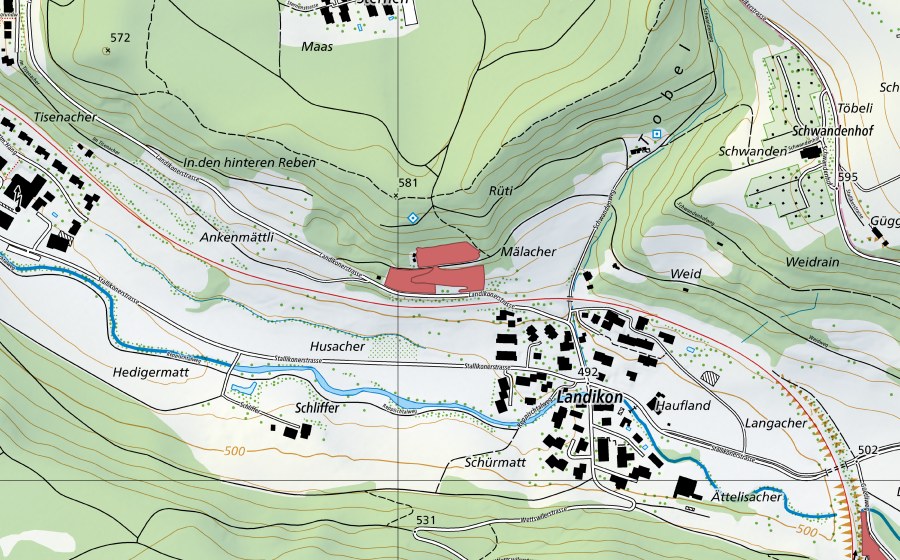 Carte nationale swisstopo avec le périmètre protégé de Rüti (Prairie sèche)