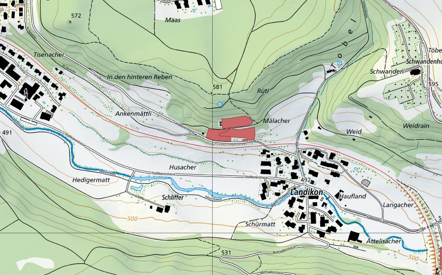 Carte nationale swisstopo avec le périmètre protégé de Rüti (Prairie sèche)