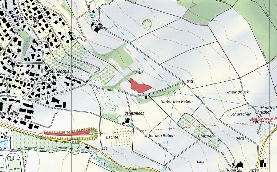 swisstopo national map showing the protected perimeter of Rüti (Dry meadow)