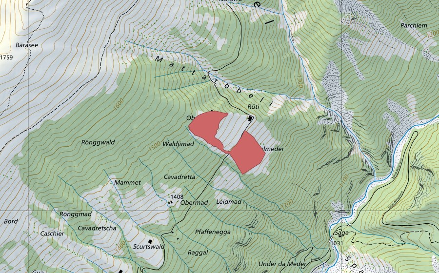 swisstopo national map showing the protected perimeter of Rüti (Dry meadow)