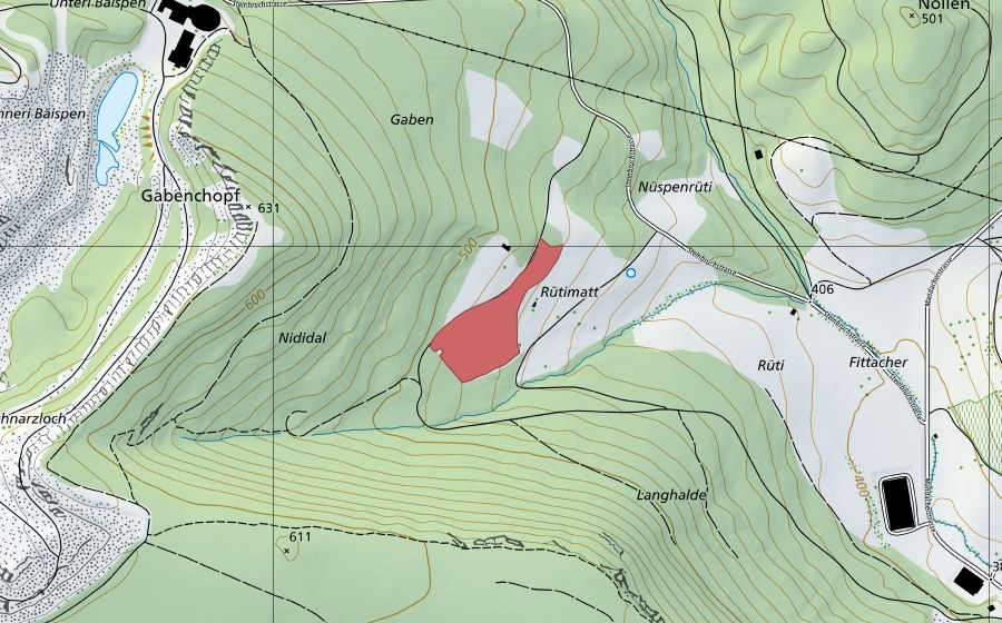 swisstopo national map showing the protected perimeter of Rüti (Dry meadow)