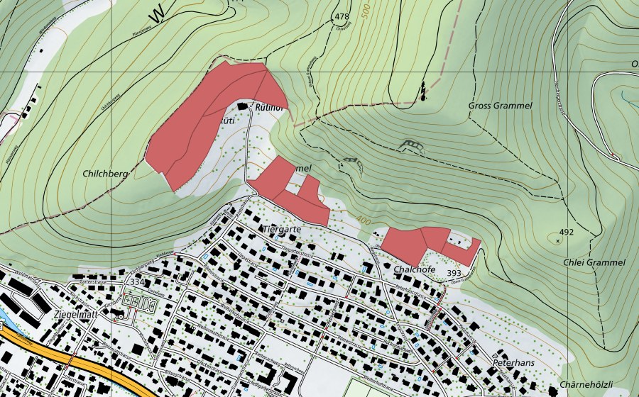 Landeskarte swisstopo mit dem Schutzperimeter von Rüti (Trockenwiese)
