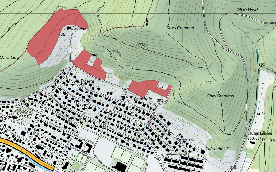 swisstopo national map showing the protected perimeter of Rüti (Dry meadow)