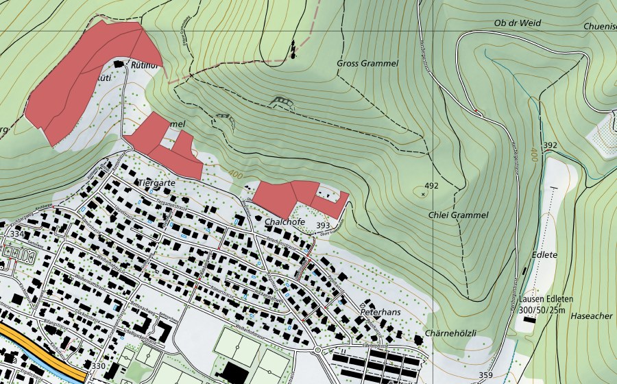 swisstopo national map showing the protected perimeter of Rüti (Dry meadow)