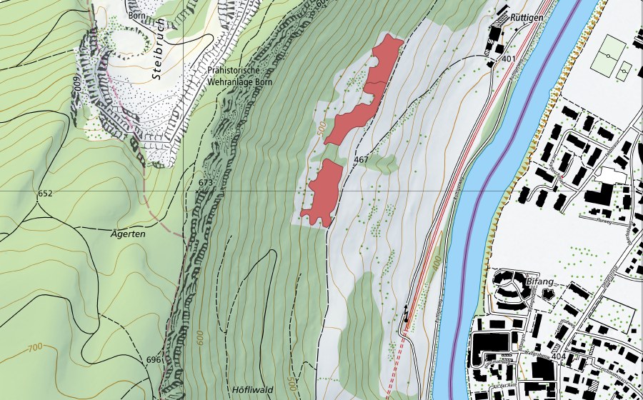 swisstopo national map showing the protected perimeter of Rutigen (Dry meadow)