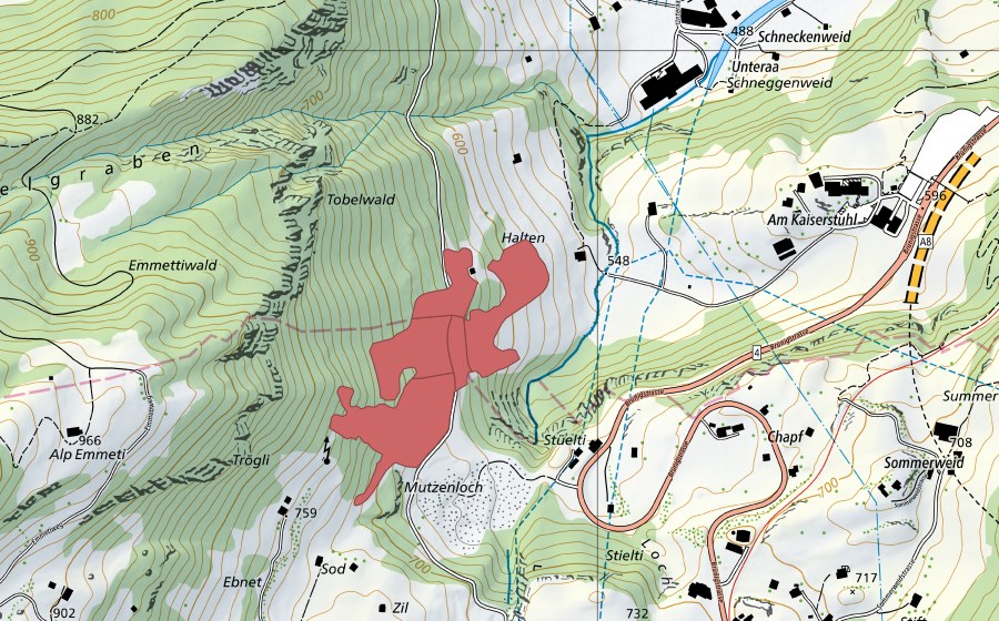 Landeskarte swisstopo mit dem Schutzperimeter von Rütinen (Trockenwiese)
