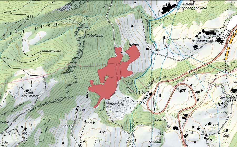 Carte nationale swisstopo avec le périmètre protégé de Rütinen (Prairie sèche)