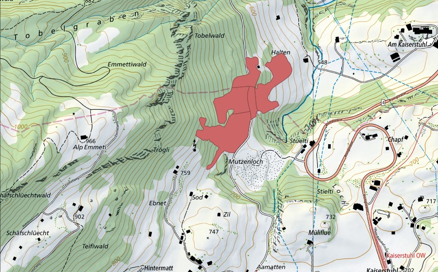 swisstopo national map showing the protected perimeter of Rütinen (Dry meadow)