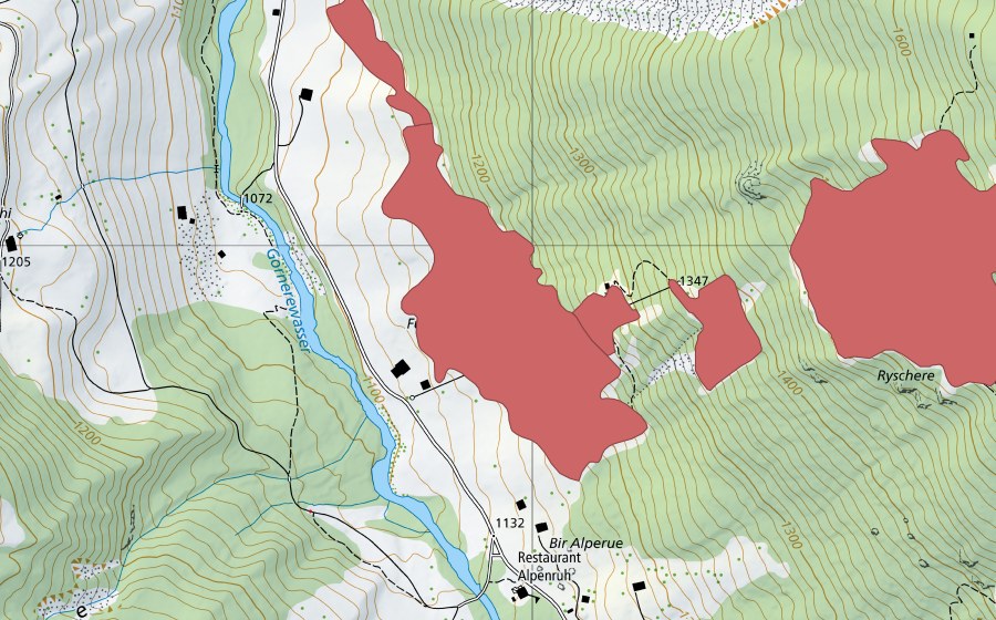 swisstopo national map showing the protected perimeter of Ryschere (Dry meadow)