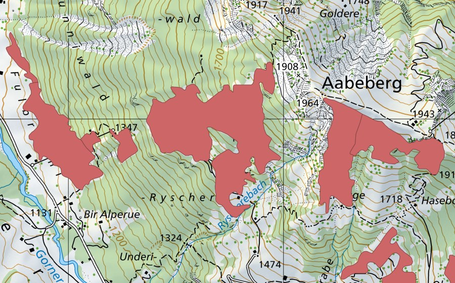Landeskarte swisstopo mit dem Schutzperimeter von Ryschere (Trockenwiese)