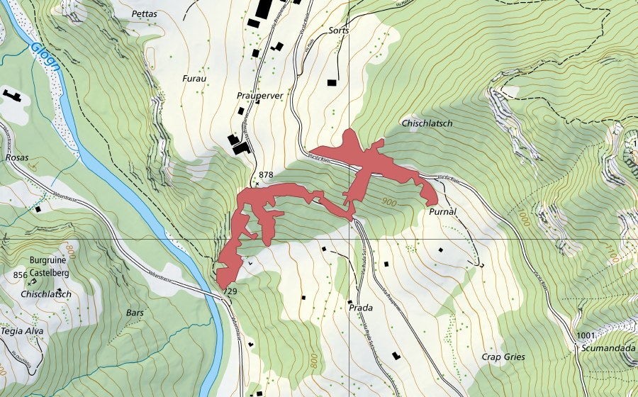 Carte nationale swisstopo avec le périmètre protégé de S.Bistgaun (Prairie sèche)