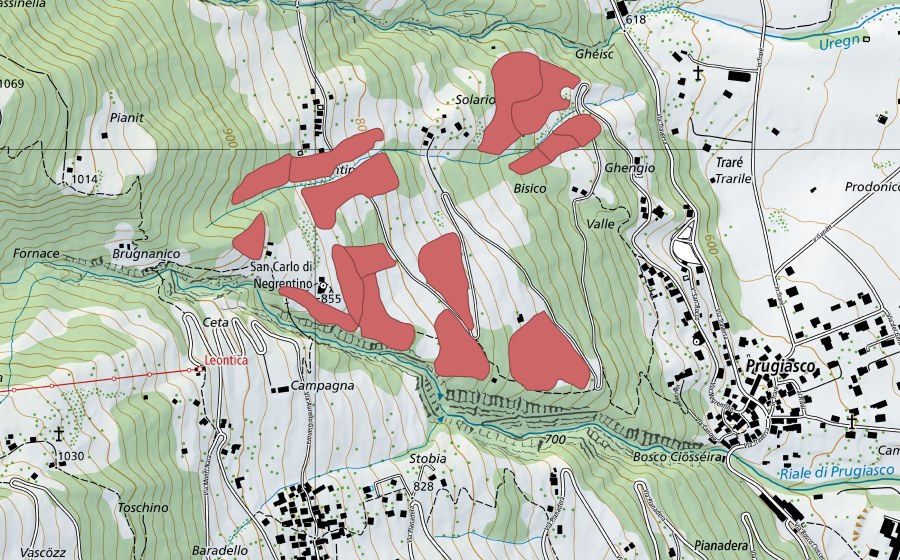 Carte nationale swisstopo avec le périmètre protégé de S. Carlo di Negrentino (Prairie sèche)