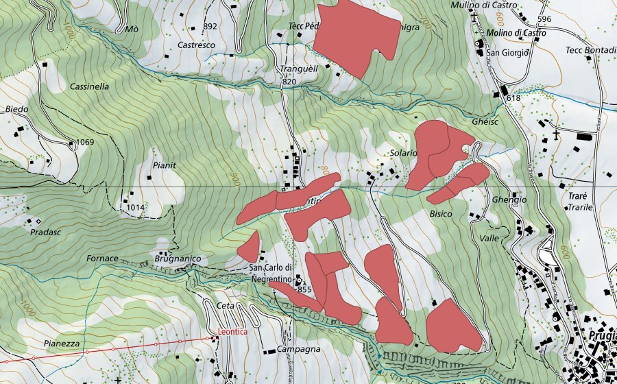 swisstopo national map showing the protected perimeter of S. Carlo di Negrentino (Dry meadow)