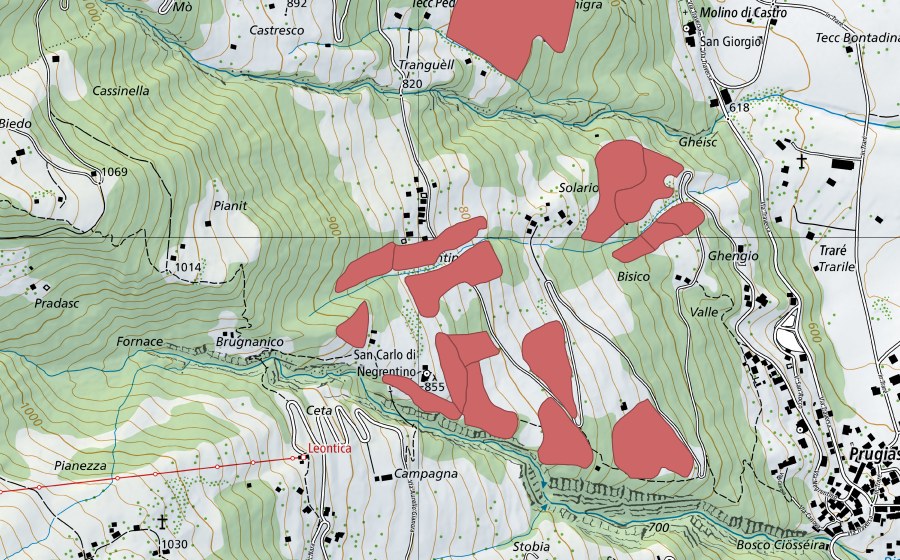 swisstopo national map showing the protected perimeter of S. Carlo di Negrentino (Dry meadow)