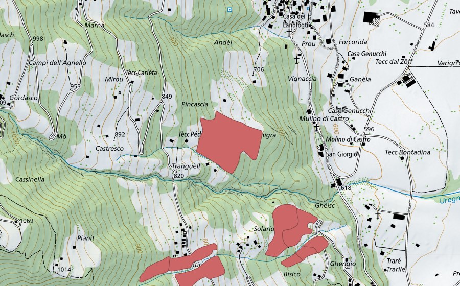 swisstopo national map showing the protected perimeter of S. Giorgio (Dry meadow)