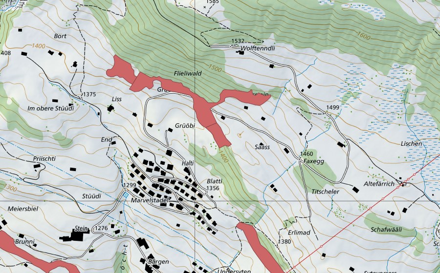 Landeskarte swisstopo mit dem Schutzperimeter von Saass (Trockenwiese)