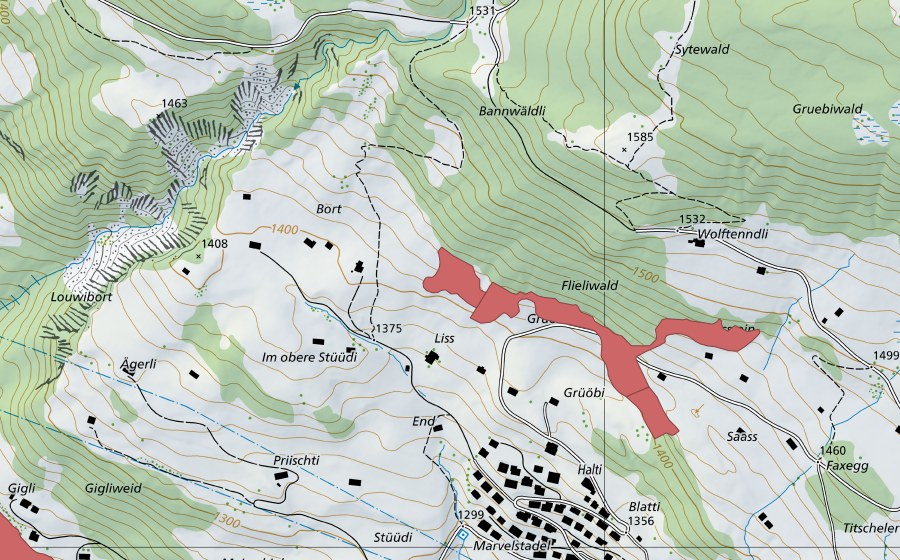Landeskarte swisstopo mit dem Schutzperimeter von Saass (Trockenwiese)