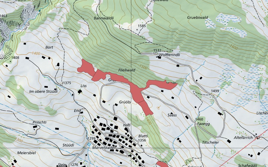 Landeskarte swisstopo mit dem Schutzperimeter von Saass (Trockenwiese)