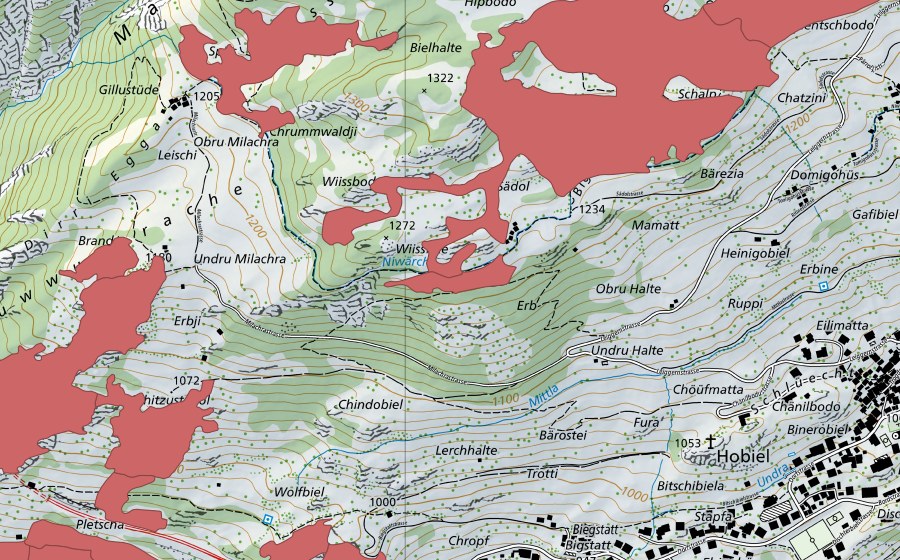 Landeskarte swisstopo mit dem Schutzperimeter von Sädol (Trockenwiese)