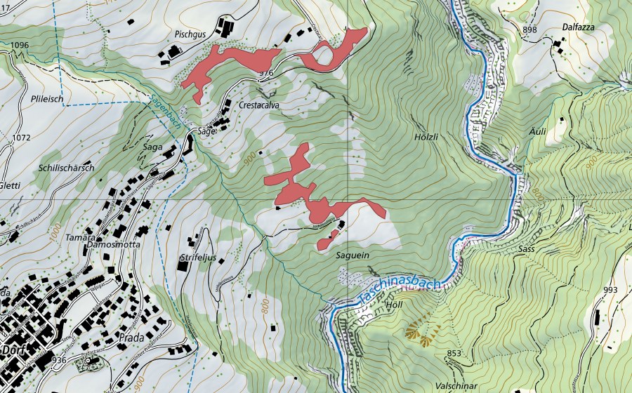 Carte nationale swisstopo avec le périmètre protégé de Saguein (Prairie sèche)
