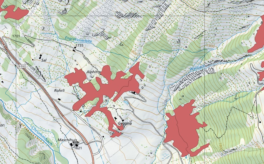 Landeskarte swisstopo mit dem Schutzperimeter von Sal (Trockenwiese)