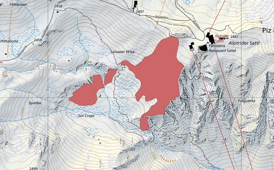 swisstopo national map showing the protected perimeter of Salaaser-Wisen (Dry meadow)