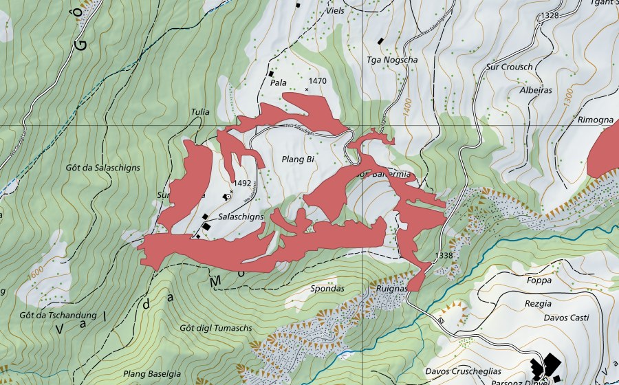 swisstopo national map showing the protected perimeter of Salaschigns (Dry meadow)