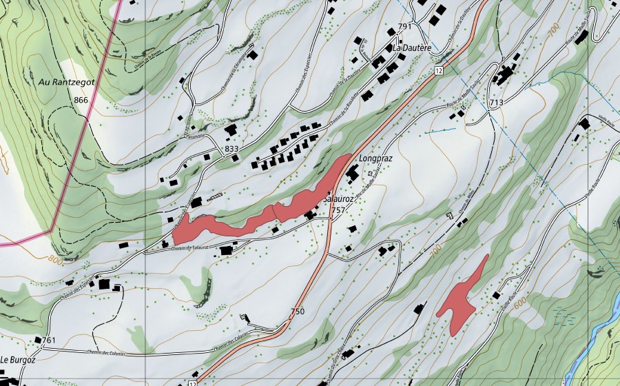swisstopo national map showing the protected perimeter of Salauroz (Dry meadow)