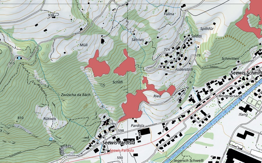 swisstopo national map showing the protected perimeter of Saldos (Dry meadow)